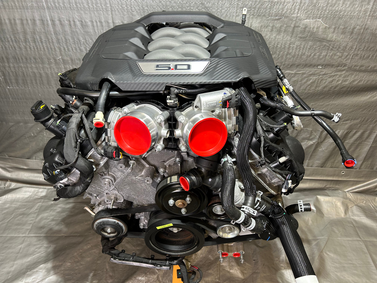 IMG_9274__46698.1773342363.jpg 2024-2025 Ford Mustang GT Dark Horse S650 5.0l Gen 4 Coyote V8 Engine Long Block / 6k FM201 - Image 1