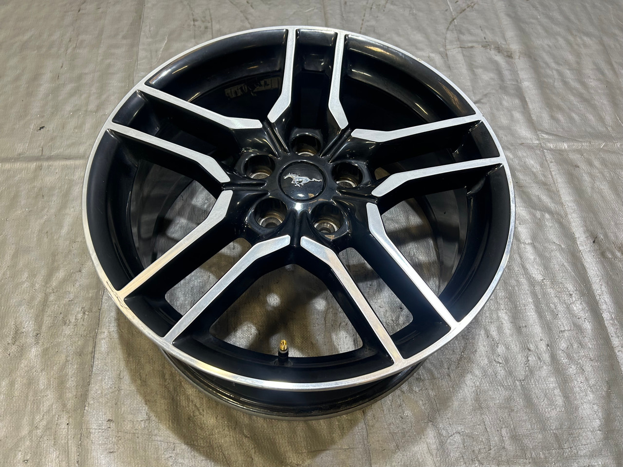 IMG_9942__74715.1743705320.jpg 2015-2020 Ford Mustang GT 18x8.0" OEM Wheel Rim / FM013 - Image 1